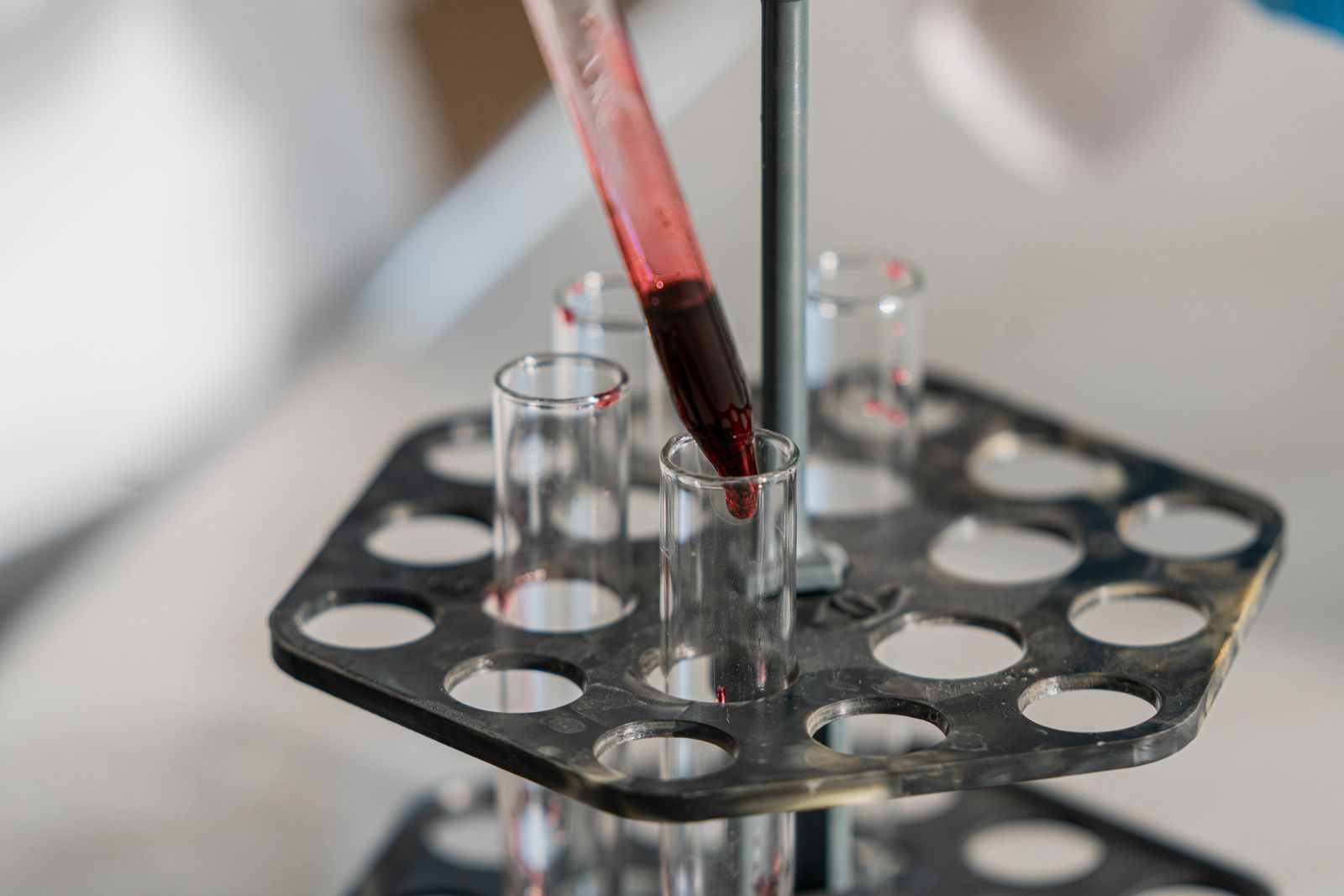 Des tubes de prélèvement sanguin rangés dans un portoir de laboratoire